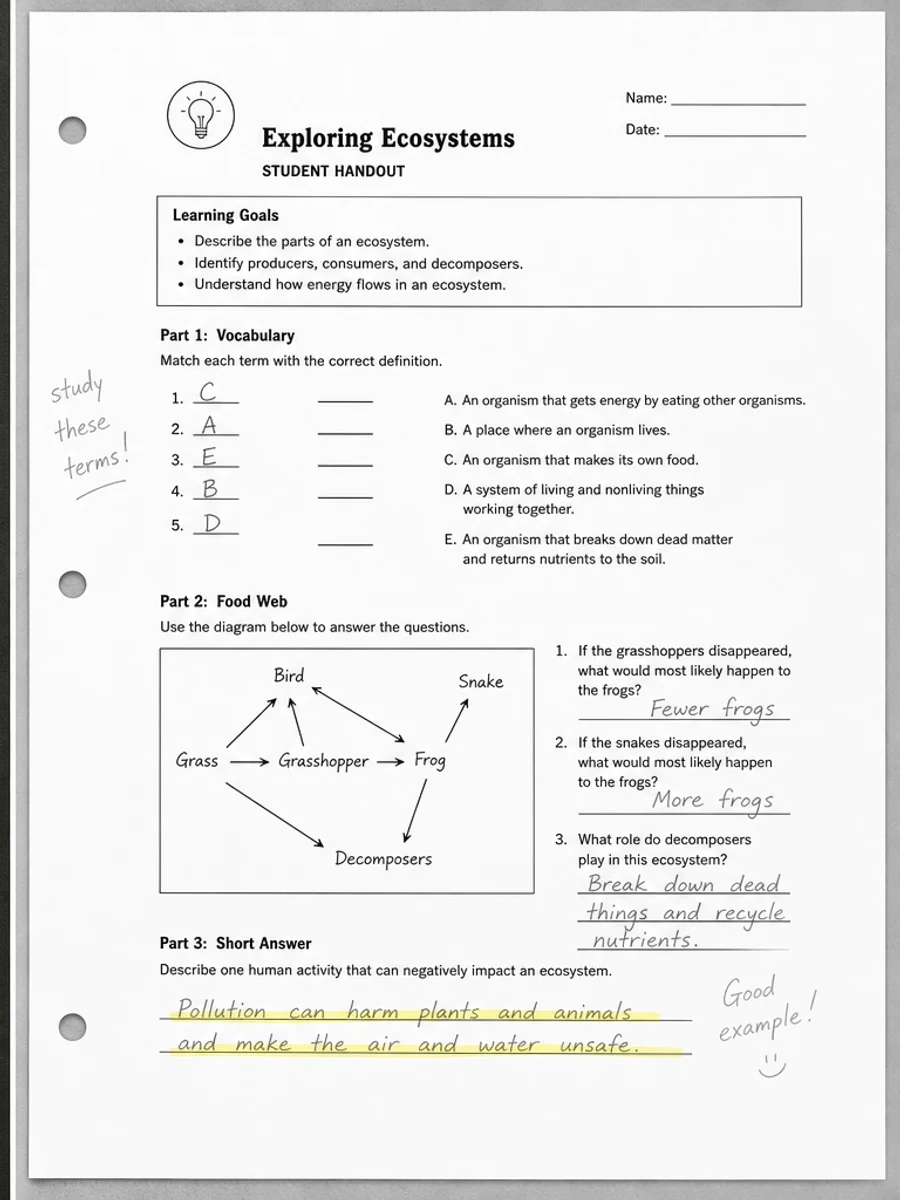 Clean a photocopied worksheet scan: cleaned scanned PDF example
